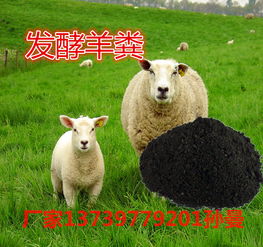 選擇河北旺潤農業科技，共創羊糞有機肥綠色財富新篇章